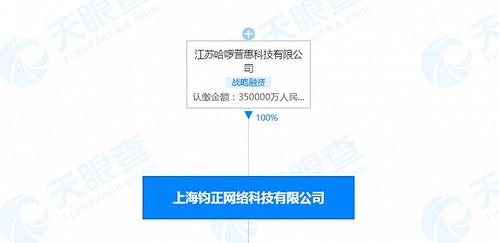 哈啰出行關聯公司注冊資本增至35億人民幣，信息系統集成服務或成戰略新支點